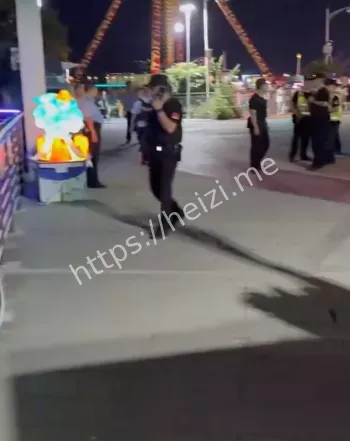 案件真相