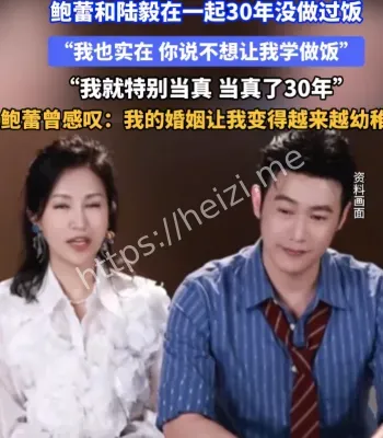 陆毅