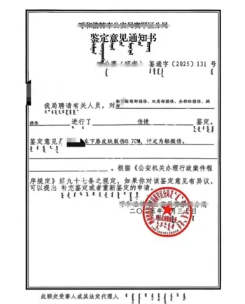 插队打人