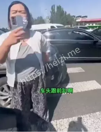 倒打一耙