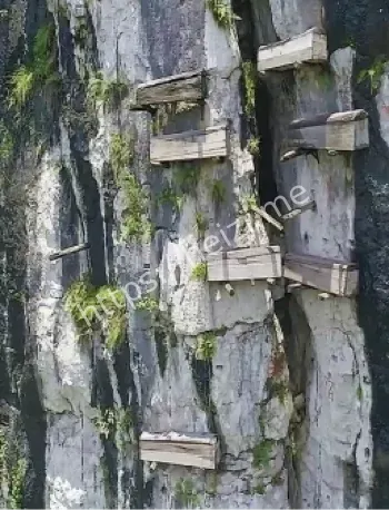 福建武夷山