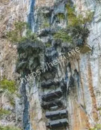 古代葬俗研究