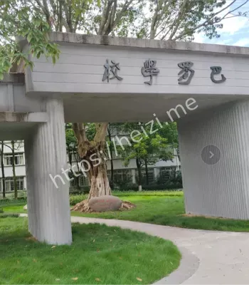 西充中学抗议