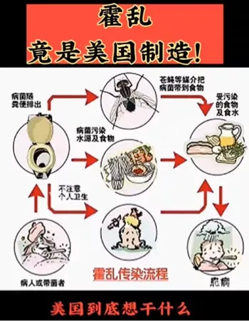 全球霍乱疫情