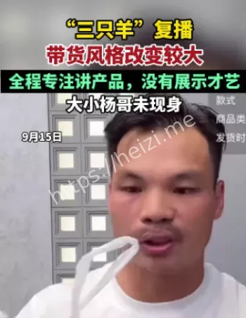 不卖货营销术