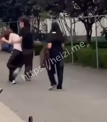 脚踏两只船黑历史