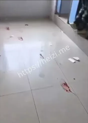 大二学姐