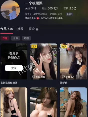 一个板栗栗