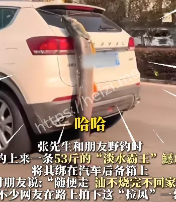绑后备箱嘚瑟