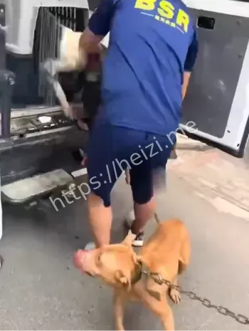 野生动物管理