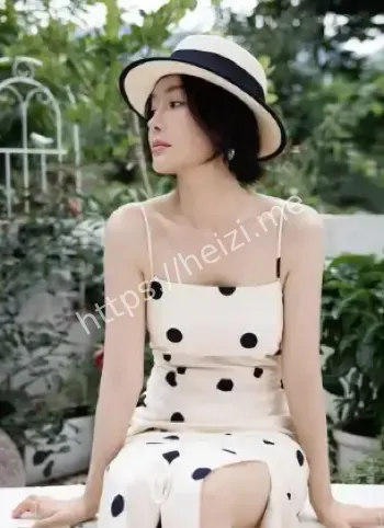 娱乐圈感情转折故事