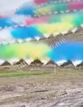 高原烟花