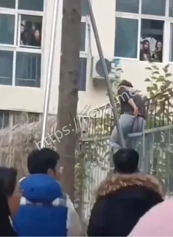 王佳颖