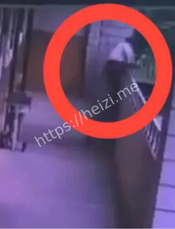 程怡嘉