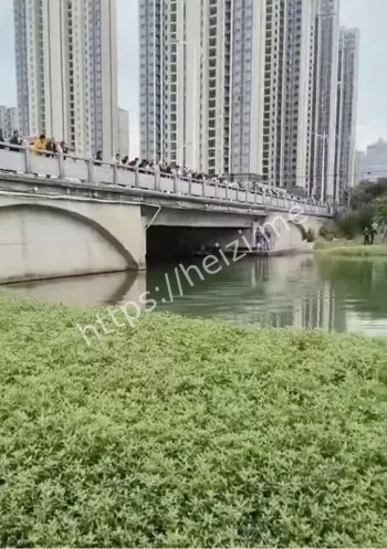 杭州出轨命案