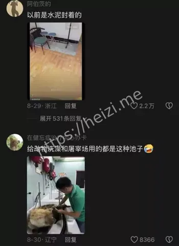 黑弥撒热搜