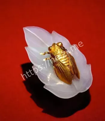 金蝉玉叶