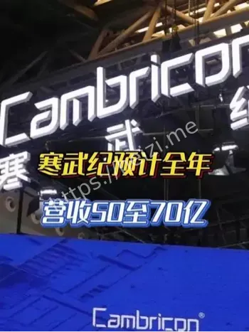 寒武纪营收