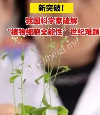 破解世纪难题