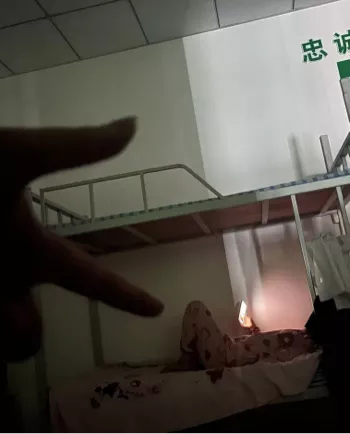 左一飞