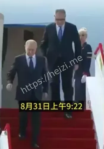 普京访华