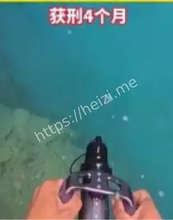 男子偷渡澳门