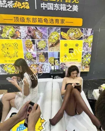 龟友大饱眼福