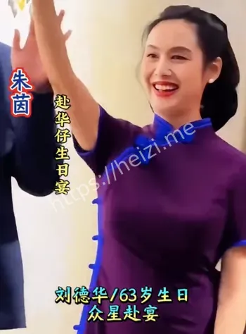 刘德华生日宴港星聚会