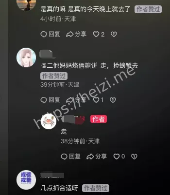 天津七里海