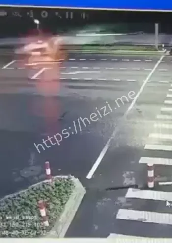 冲撞花坛