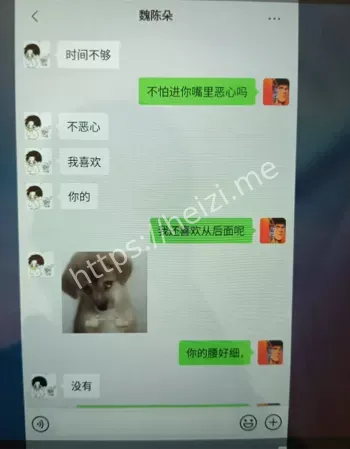 魏陈朵