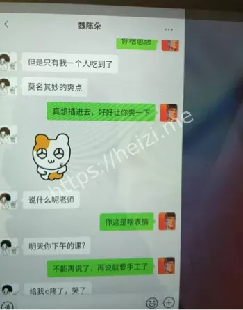 不雅聊天记录