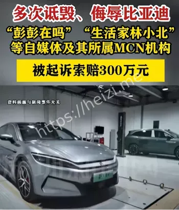 MCN机构