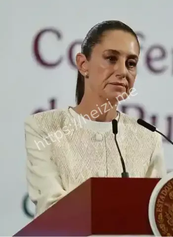 墨西哥关税