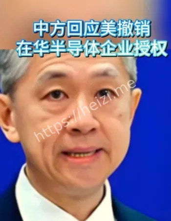 半导体企业