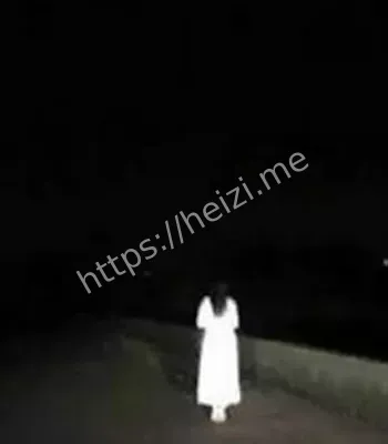 白影飘荡