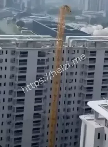 现场惨烈
