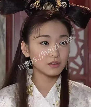 录像证据