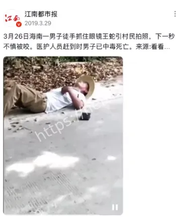 毒蛇识别方法