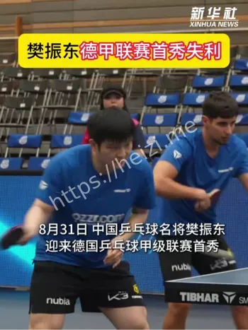 樊振东