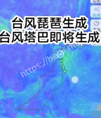 台风琵琶