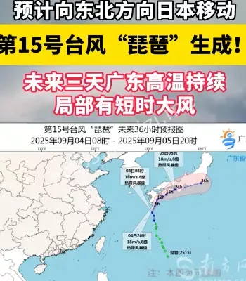 台风琵琶