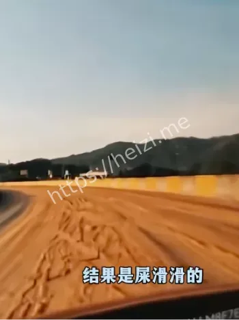 猪粪泥泞