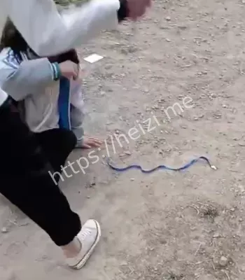 甘肃某中学