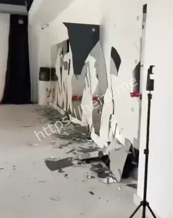 野猪被击毙事件