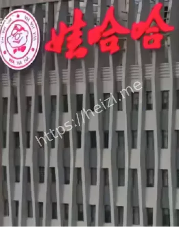 继承人风波
