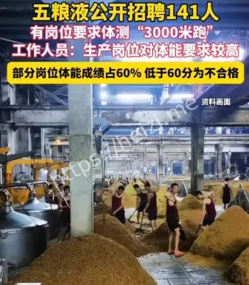 五粮液招聘