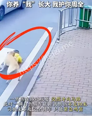 幼童突闯马路