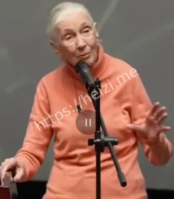 珍古道尔去世