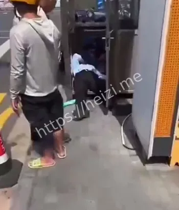 吃瓜狗血
